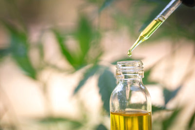 CBD and Love Have More in Common Than You Think
