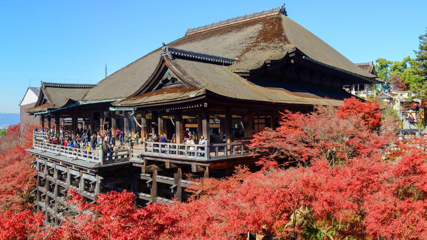 Autumn Fall Colors Japan Kyoto