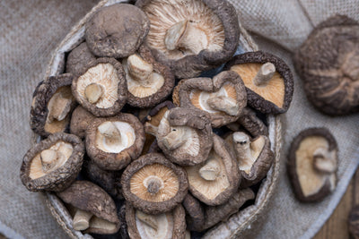 7 Plus Benefits of Adding Shiitakes to Your Diet