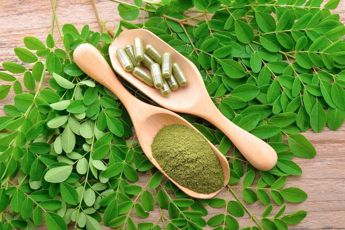 L-Theanine Healthe Benefits Matcha Green Tea