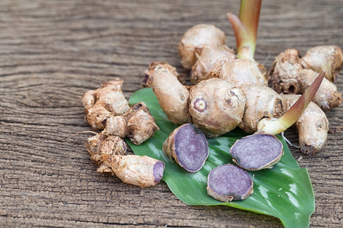 9 Powerful Health Benefits of Black Ginger